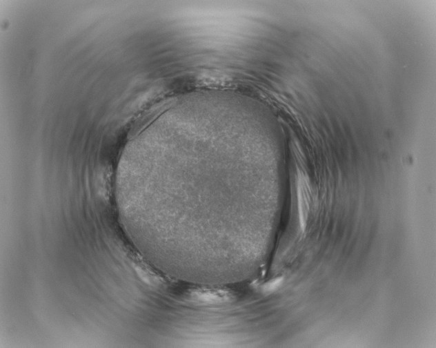 X0000088020712200706011324