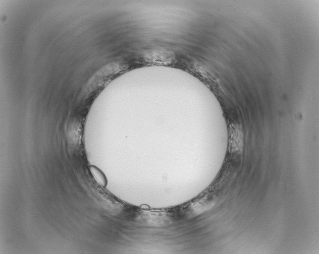 X0000088020713200706011324