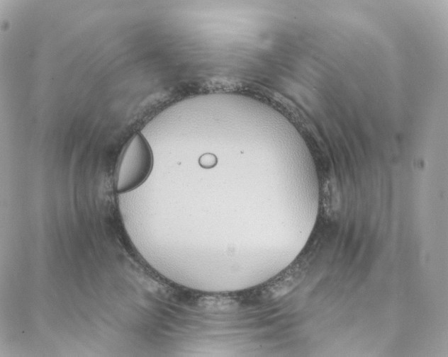 X0000088020714200706011324