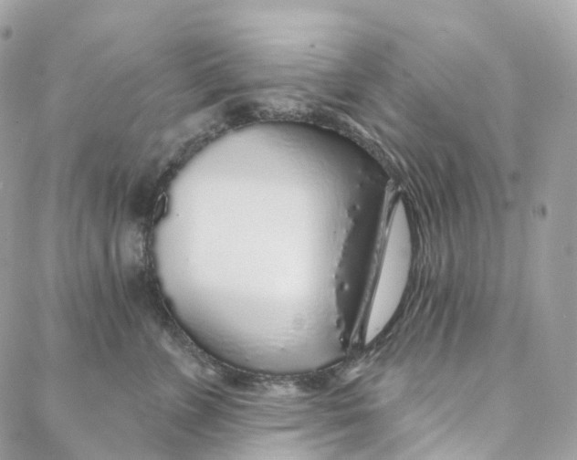 X0000088020715200706011324