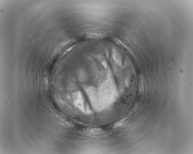 X0000088020716200706011324