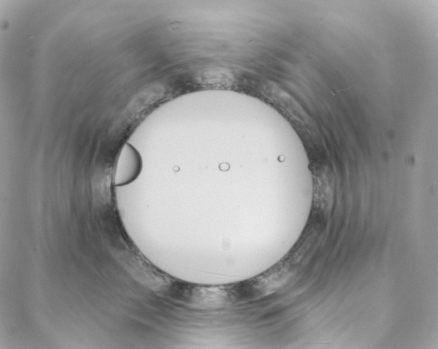 X0000088020717200706011324