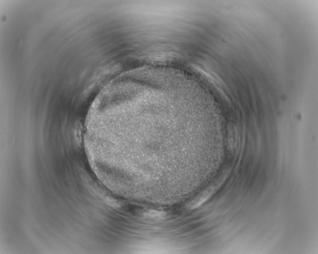 X0000088020718200706011324