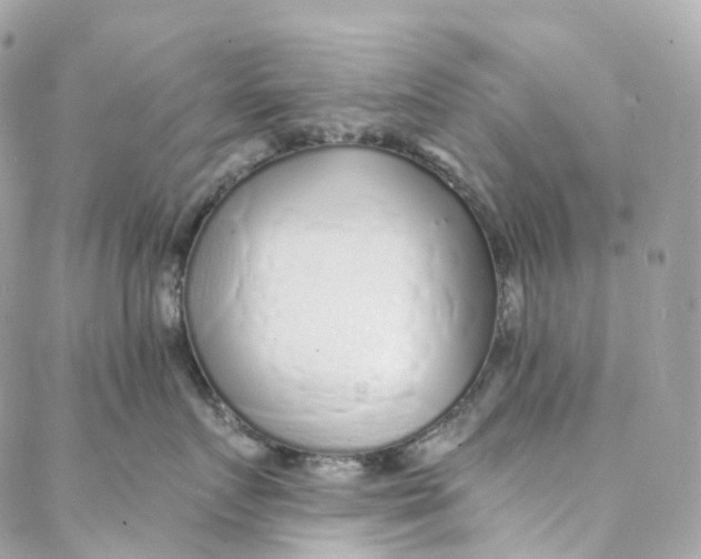 X0000088020719200706011324