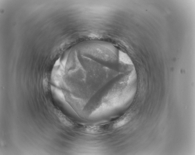 X0000088020720200706011324