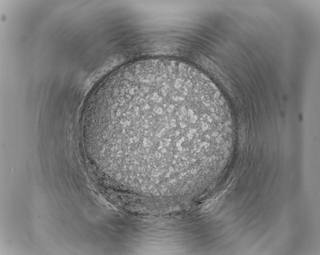 X0000088020721200706011323