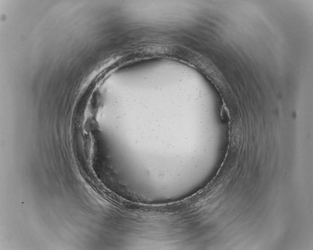 X0000088020722200706011323