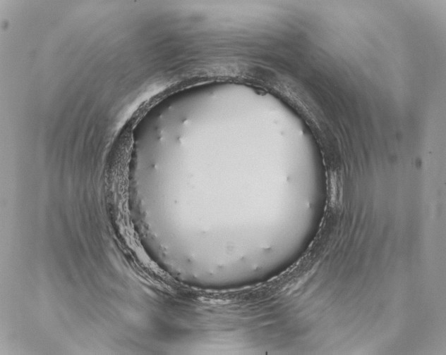 X0000088020723200706011323