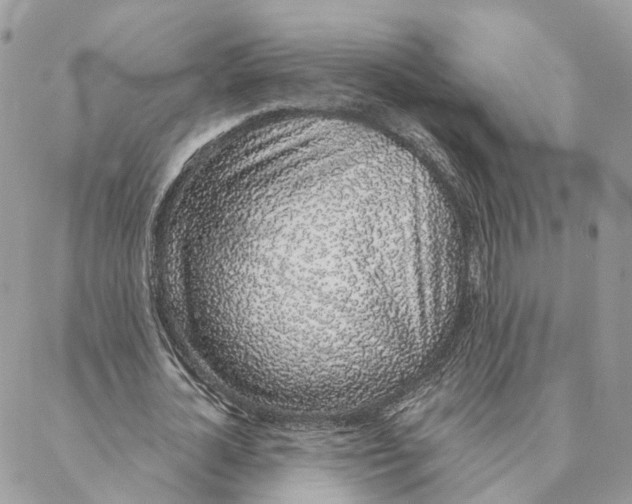 X0000088020724200706011323