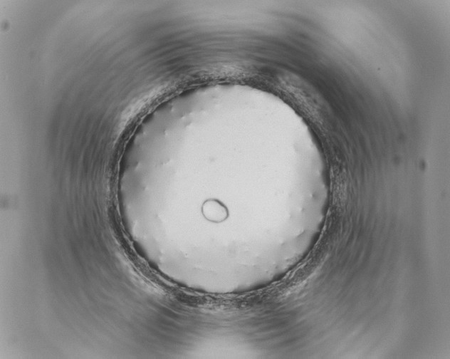 X0000088020725200706011323