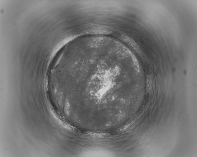 X0000088020726200706011323