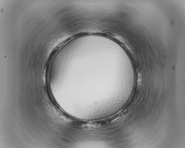 X0000088020727200706011323