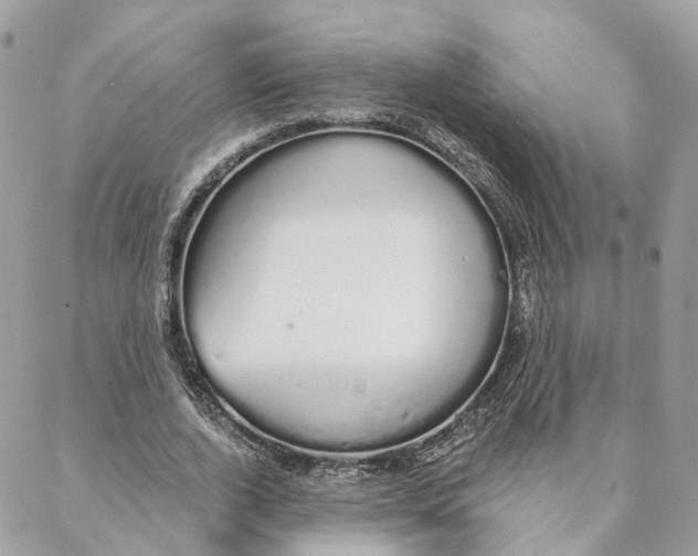 X0000088020728200706011323