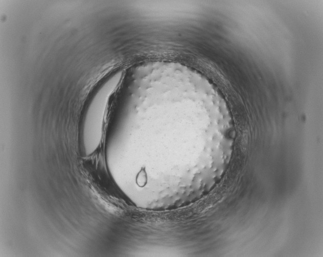 X0000088020729200706011323