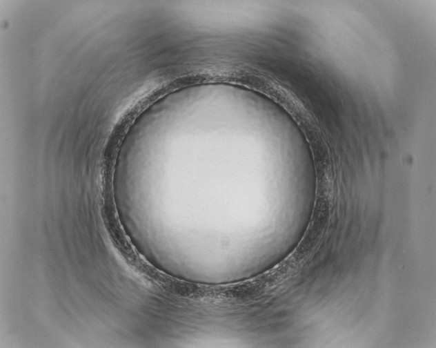 X0000088020730200706011323