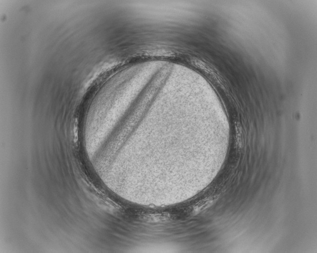 X0000088020731200706011323