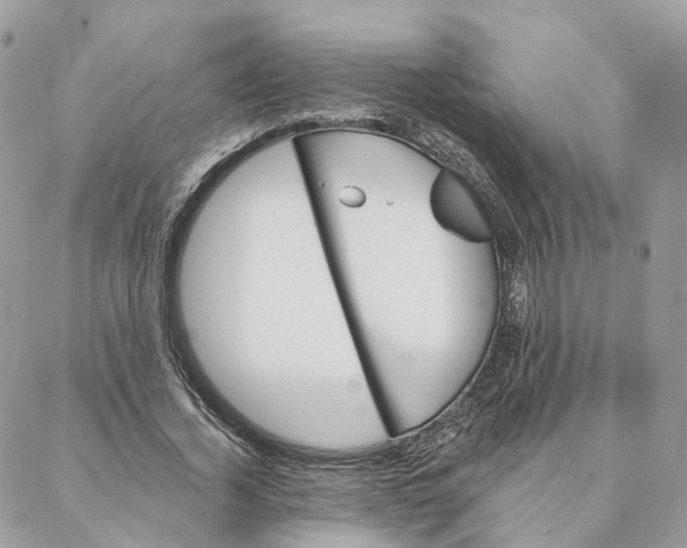 X0000088020732200706011323