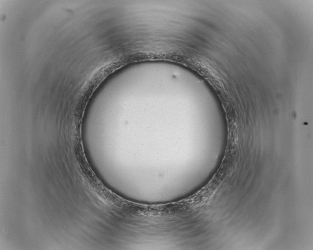 X0000088020733200706011323