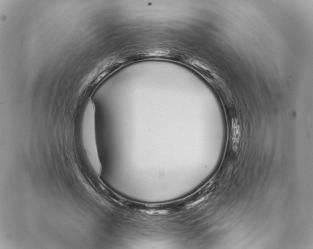 X0000088020734200706011324