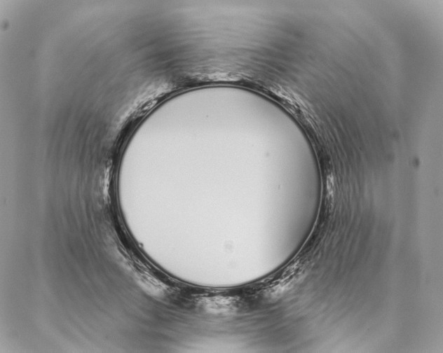 X0000088020735200706011324