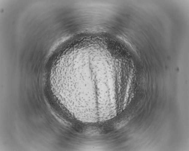 X0000088020736200706011324