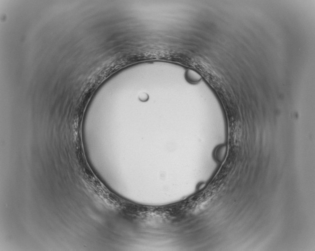 X0000088020737200706011324