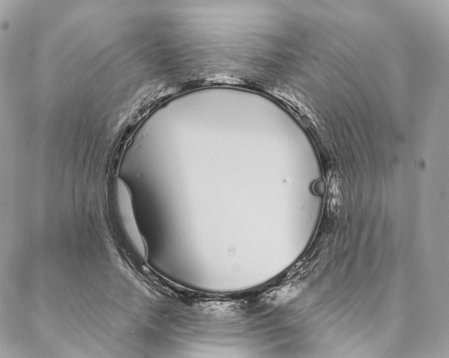 X0000088020738200706011324