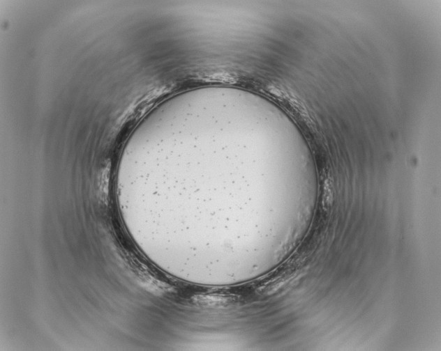 X0000088020739200706011324