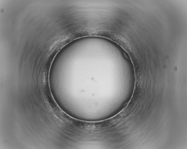 X0000088020740200706011324