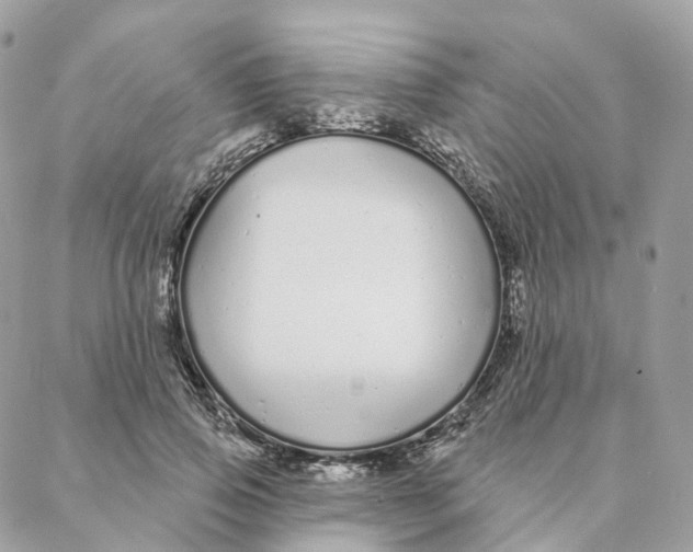 X0000088020741200706011324