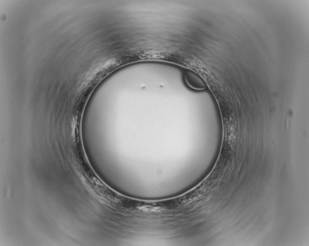 X0000088020742200706011324