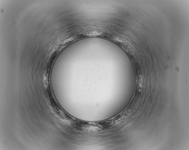 X0000088020743200706011324