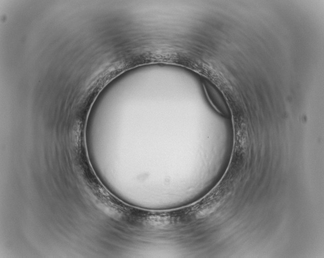 X0000088020744200706011324