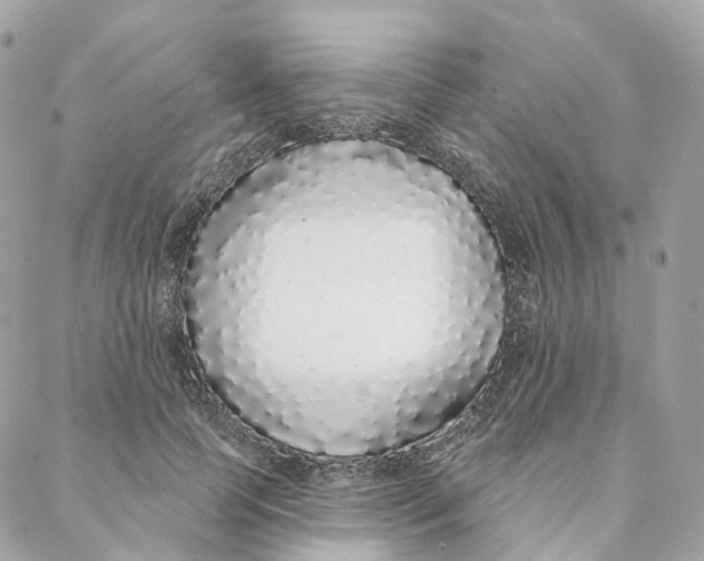 X0000088020745200706011324