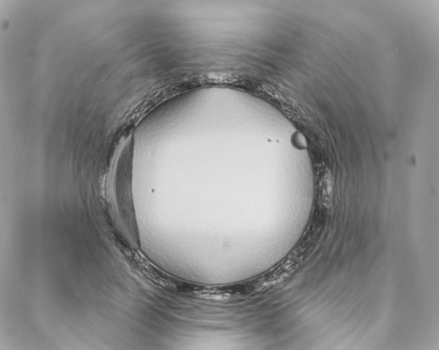 X0000088020746200706011324