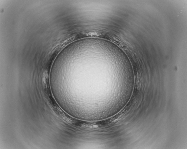 X0000088020747200706011324