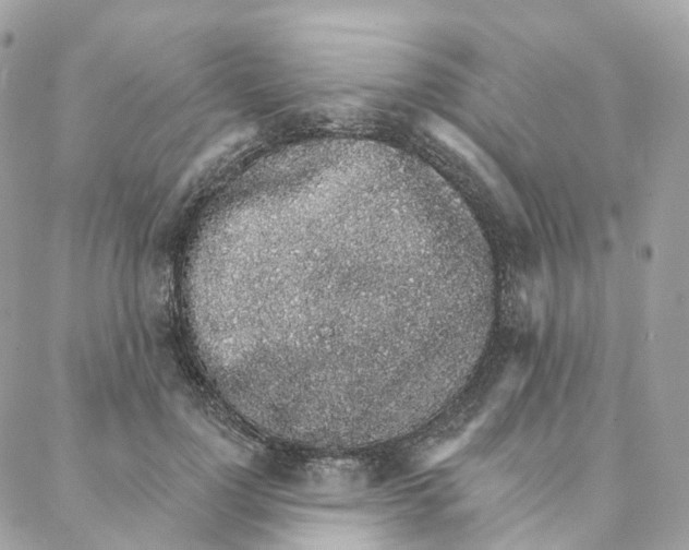 X0000088020748200706011324