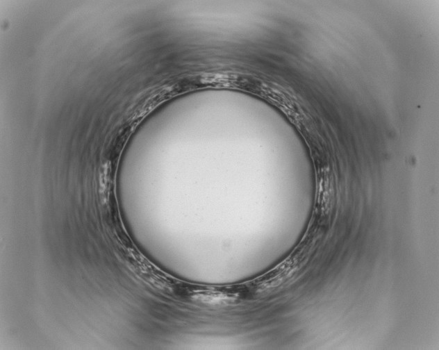 X0000088020749200706011324