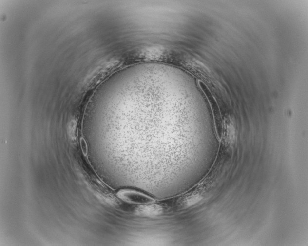 X0000088020750200706011324