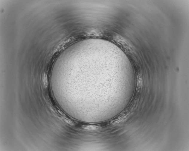 X0000088020751200706011324