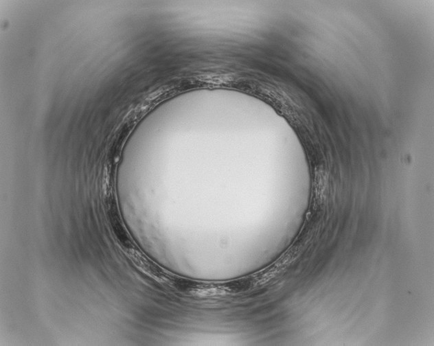 X0000088020752200706011324