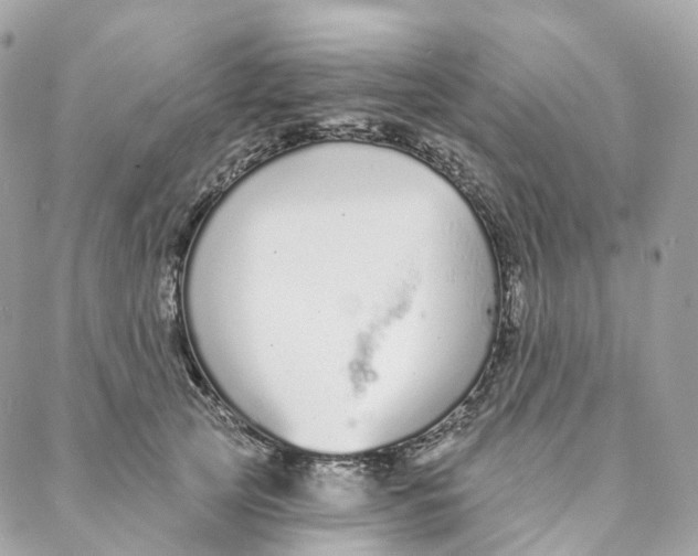 X0000088020753200706011324