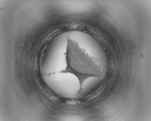 X0000088020754200706011324