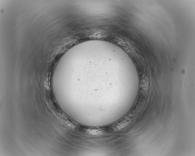 X0000088020755200706011324