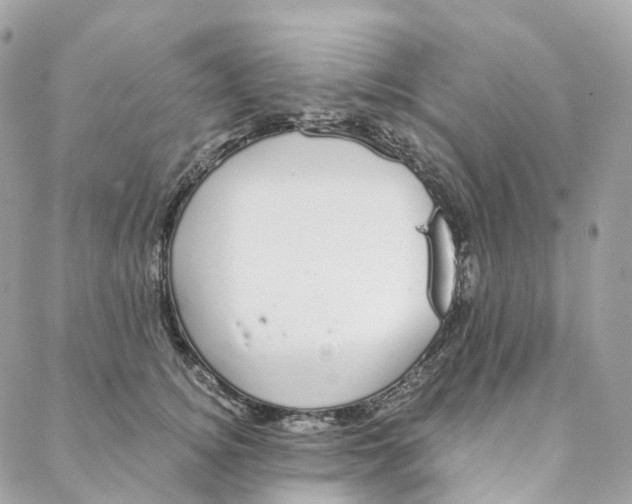 X0000088020756200706011324