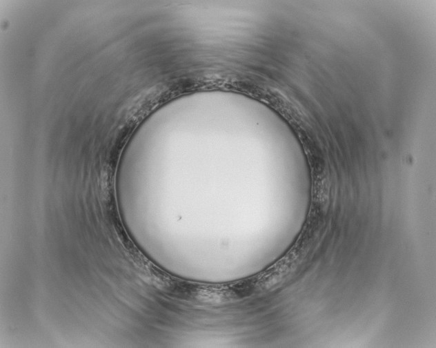 X0000088020757200706011324