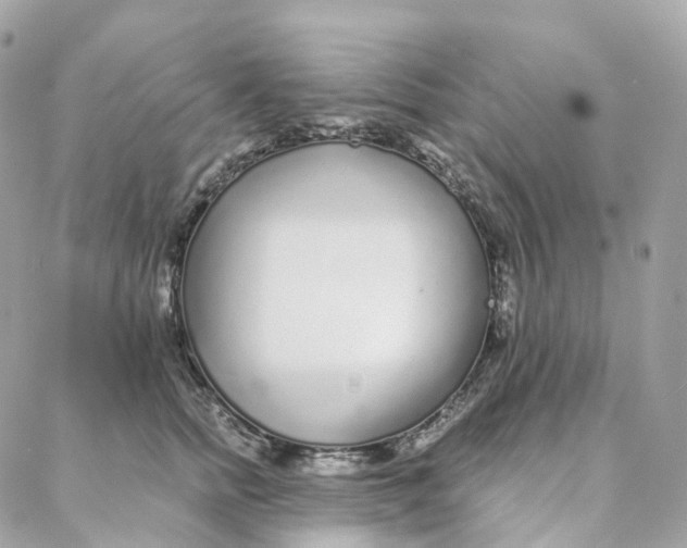 X0000088020758200706011324