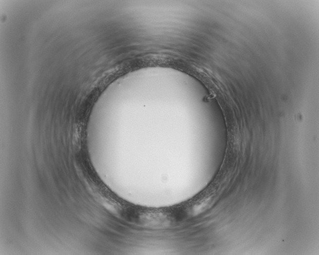 X0000088020759200706011324