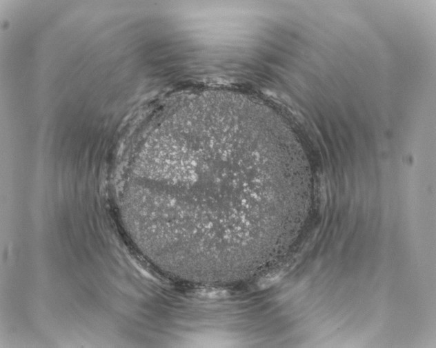 X0000088020760200706011324