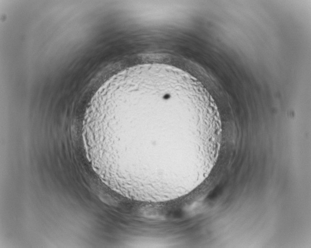 X0000088020761200706011324